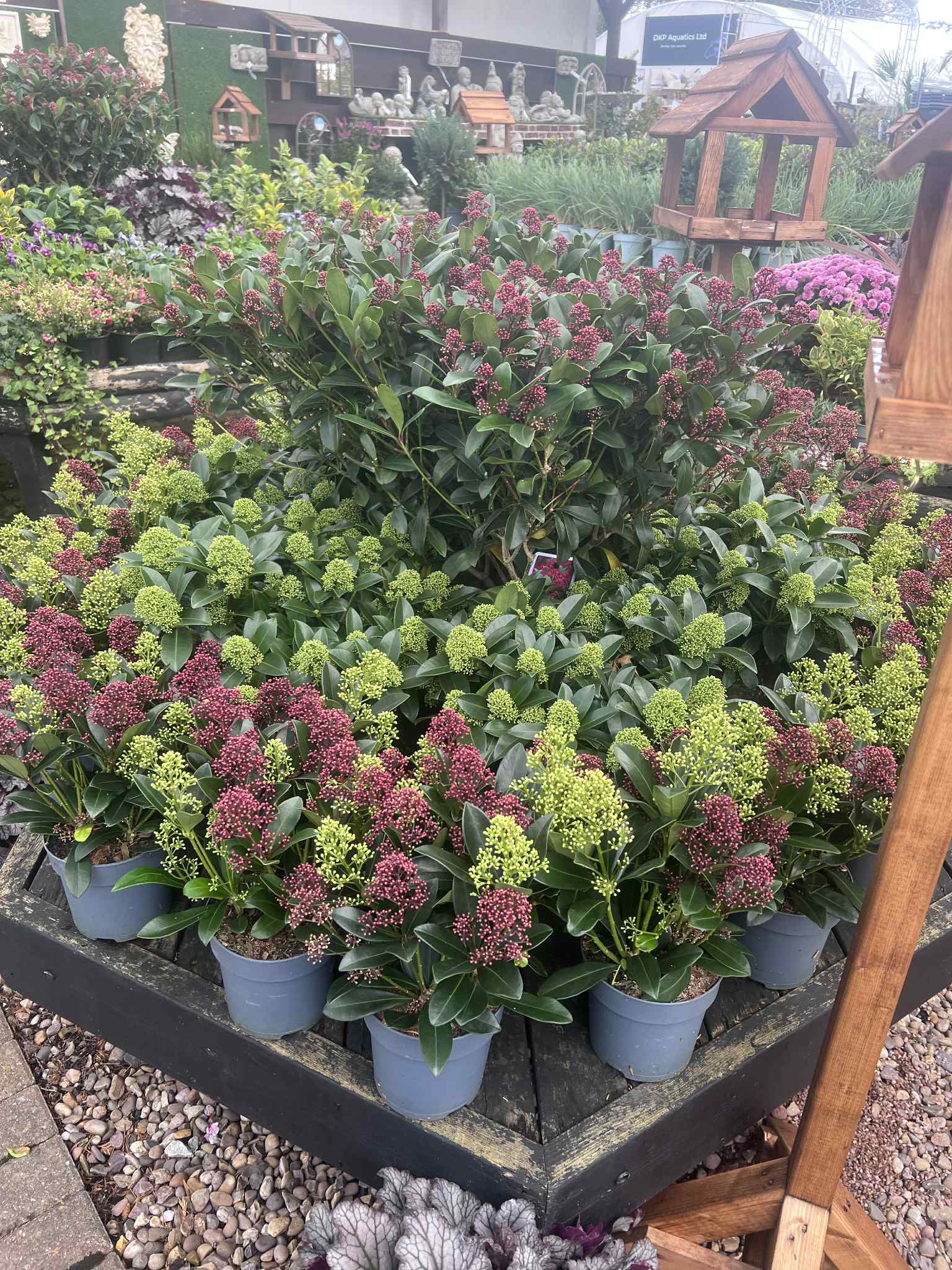 Image of Plants