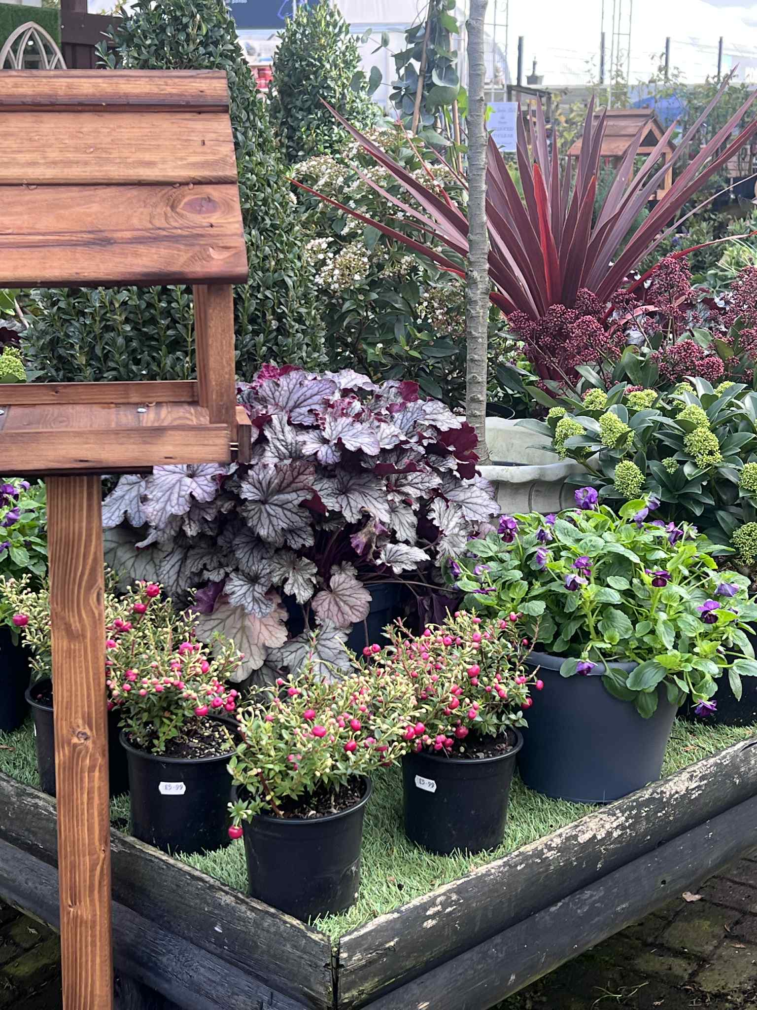 Flowers and Bird Table